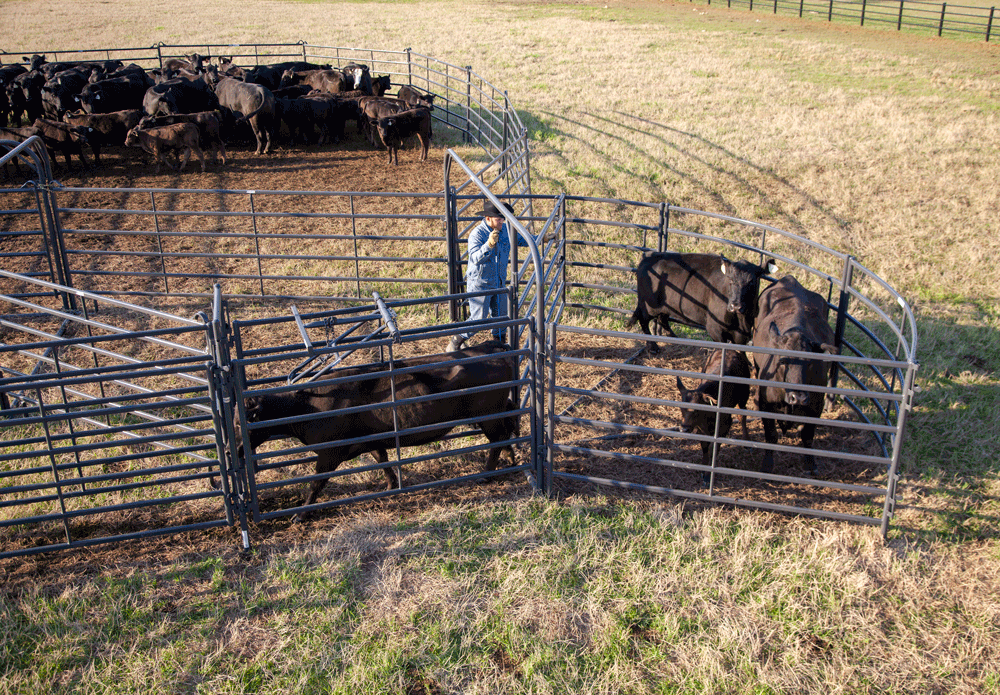 Priefert Premier Open Sweep Corral PS13520 IMG 0198.png